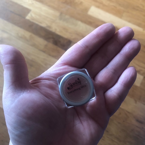 💥3/20. So you’ll get 3 BAGS FOR $20!! - Picture 4 of 4